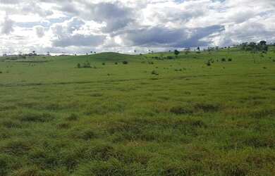Imagem 15: Fazenda para Venda em Santa Cruz Da Vitória, Zona Rural