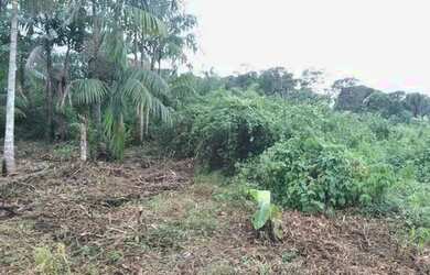 Imagem 2: Terreno. 333m² de Área