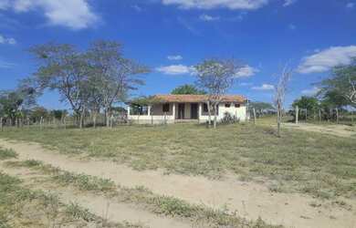 Imagem: A fazenda está localizado em Ipirá, BA à venda por R$150.000