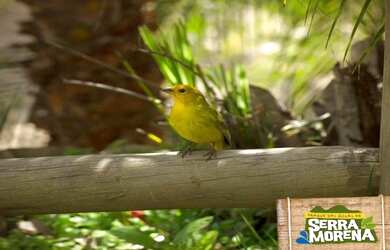 Imagem 11: A oportunidade que você procurava está aqui lotes em Condomínio de...