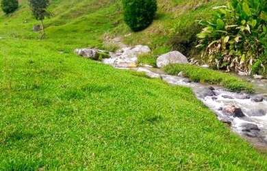 Imagem 15: Fazenda/Sítio/Chácara para venda com 62.500 metros quadrados em Garcia - Angelina - SC