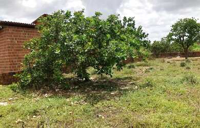 Imagem: O terreno possui 450m² de Área e está localizado em Pajuçara