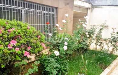 Imagem 12: São Caetano do Sul - Casa Padrão - Osvaldo Cruz