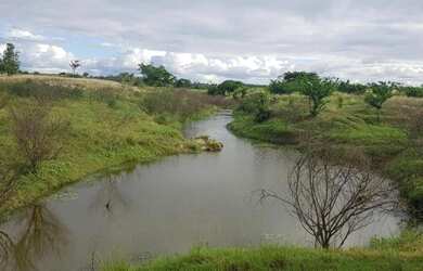 Imagem 16: Fazenda para Venda em Santa Cruz Da Vitória, Zona Rural