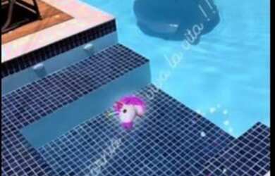 Imagem: A casa possui 4 Dormitórios, 5 Vagas na garagem e está localizado