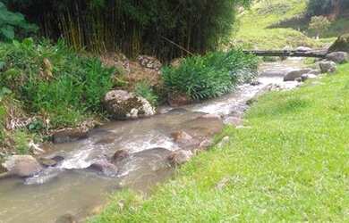 Imagem 16: Fazenda/Sítio/Chácara para venda com 62.500 metros quadrados em Garcia - Angelina - SC