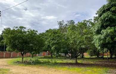 Imagem 4: Vendo ou troco lote. Imóvel novoe200m² de Área