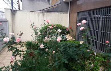 Imagem 13: São Caetano do Sul - Casa Padrão - Osvaldo Cruz