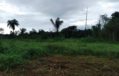 Imagem 4: Terreno. 333m² de Área