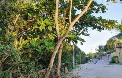 Imagem: O terreno possui 5.970m² de Área e está localizado em Santa