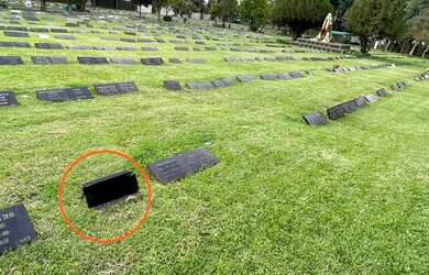 Imagem: O terreno possui 3m² de Área e está localizado em Portão