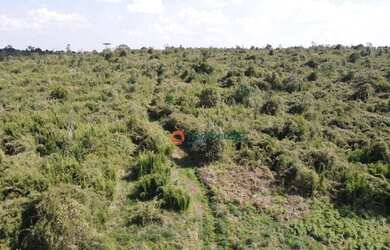 Imagem: A chácara possui 3388000m² de Área e está localizado em