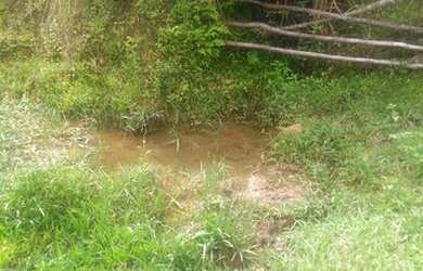 Imagem 3: Fazenda/Sítio/Chácara para venda com 62.500 metros quadrados em Garcia - Angelina - SC