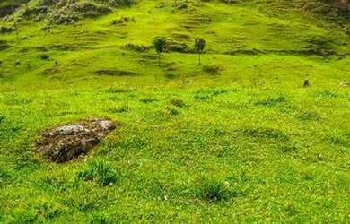 Imagem 2: Fazenda/Sítio/Chácara para venda com 62.500 metros quadrados em Garcia - Angelina - SC