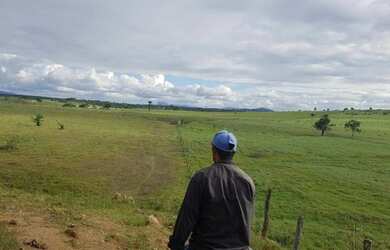 Imagem 12: Fazenda para Venda em Santa Cruz Da Vitória, Zona Rural