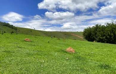 Imagem: O terreno possui 500m² de Área e está localizado em Portão