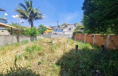 Imagem 1: São Gonçalo - Terreno Padrão - Galo Branco