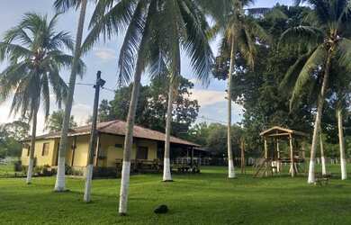 Imagem: A fazenda possui 100m² de Área e está localizado em Matinha