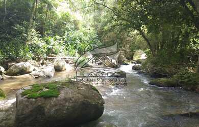 Imagem 15: Terreno Rural para Venda em Angelina, BETANIA
