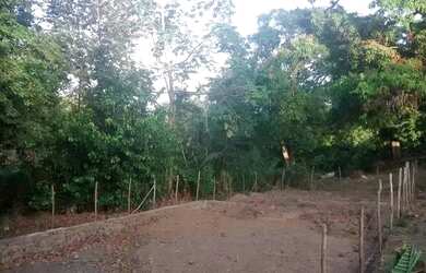 Imagem 1: Terreno , zap Terreno / lote com venda por R$16.000