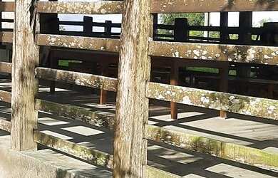 Imagem: A fazenda possui 100m² de Área e está localizado em Nazaré