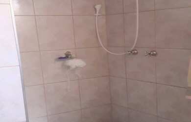 Imagem 9: SÃO JOSÉ DO RIO PRETO - Casa Padrão - ALTO RIO PRETO