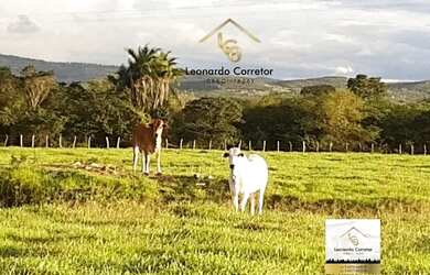Imagem: A fazenda possui 120.000m² de Área e está localizado em
