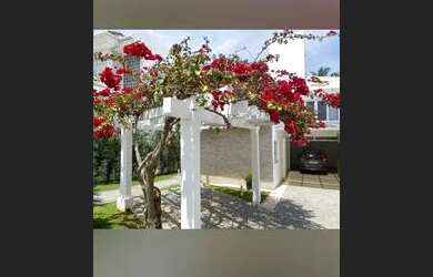 Imagem 7: ALUGO CASA- FLORIANOPOLIS