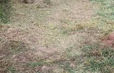 Imagem 2: Lote no morro do sabão. 640m² de Área