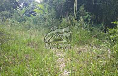 Imagem 3: Terreno Rural para Venda em Angelina, BETANIA