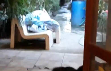 Imagem 7: vendo. Varanda, 75m² de Área, 2 Vagas na garageme1 Dormitório