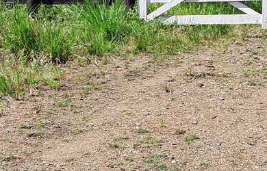 Imagem 6: Vendo fazenda em jaguaripe