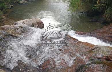 Imagem 6: Terreno Rural para Venda em Angelina, BETANIA