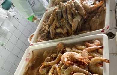 Imagem 14: Casa temporada Ubatuba. Piscina, Churrasqueira, 3 Vagas na garageme2 Dormitórios