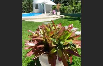 Imagem 6: ALUGO CASA- FLORIANOPOLIS