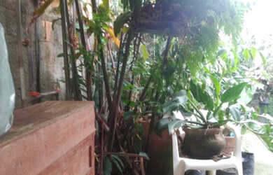 Imagem 4: vendo. Varanda, 75m² de Área, 2 Vagas na garageme1 Dormitório