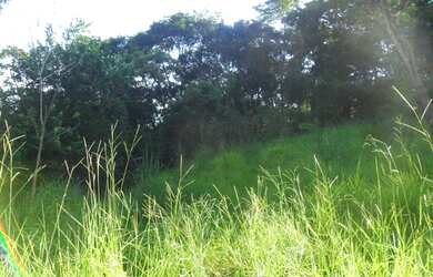 Imagem 11: Lotes com 360 m² no Bairro Jardim Nazareno - Betim/MG