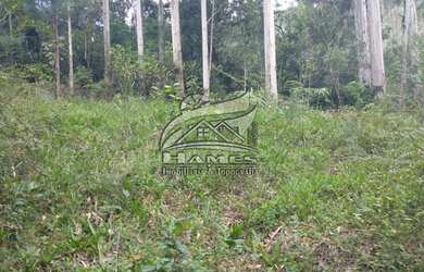 Imagem 12: Terreno Rural para Venda em Angelina, BETANIA