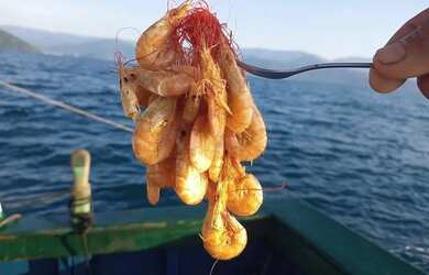 Imagem 11: Casa temporada Ubatuba. Piscina, Churrasqueira, 3 Vagas na garageme2 Dormitórios