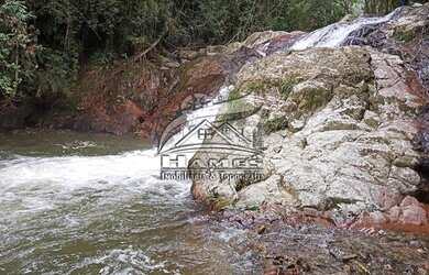 Imagem 7: Terreno Rural para Venda em Angelina, BETANIA