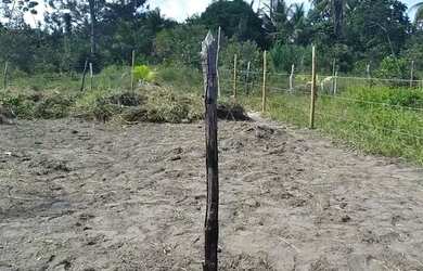 Imagem: O terreno possui 320m² de Área e está localizado em Arembepe