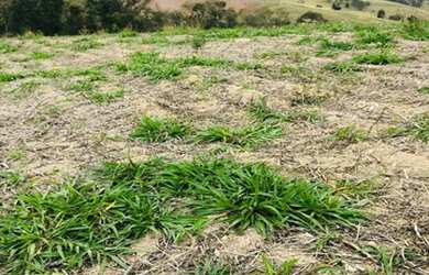 Imagem 3: Lote/Terreno para venda possui 500 metros quadrados em Vila Santista -...