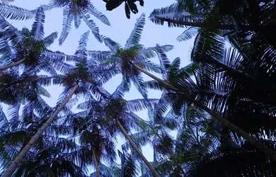 Imagem: A casa possui 2 Dormitórios, 1 Banheiro e está localizado