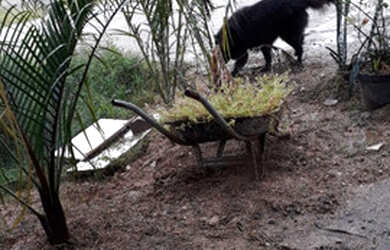 Imagem 13: vendo. Varanda, 75m² de Área, 2 Vagas na garageme1 Dormitório