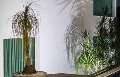 Imagem 5: Maravilhosa Casa de Luxo - 04 quartos - Condomínio Ouro Verde- Betim