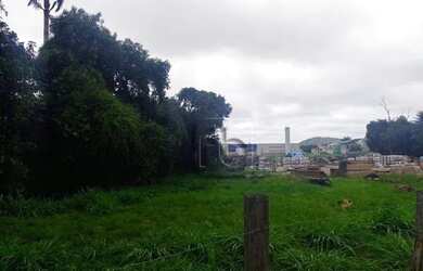 Imagem 4: Terreno à venda, 14000 m² por R$ 15.000.000,00 - Campo Grande - Rio...