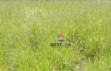 Imagem 2: Terreno à venda, 775 m² por R$ 853.500,00 - Granja Viana - Cotia/SP