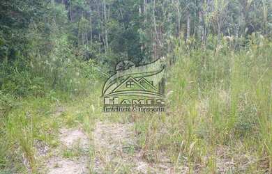 Imagem 5: Terreno Rural para Venda em Angelina, BETANIA