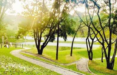 Imagem: O terreno possui 300m² de Área e está localizado em Bragança