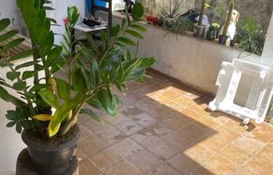 Imagem 12: Casa no Setor Urias Magalhães